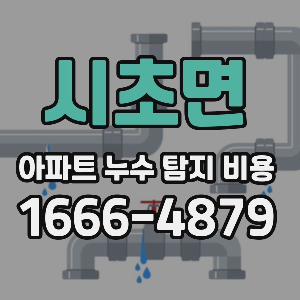 시초면 아파트 누수 탐지 비용