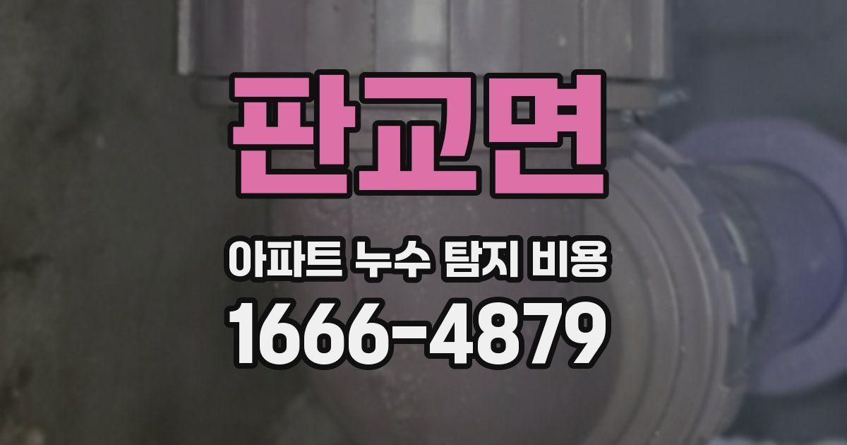 판교면 아파트 누수 탐지 비용