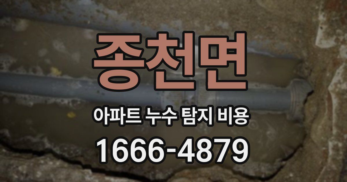 종천면 아파트 누수 탐지 비용