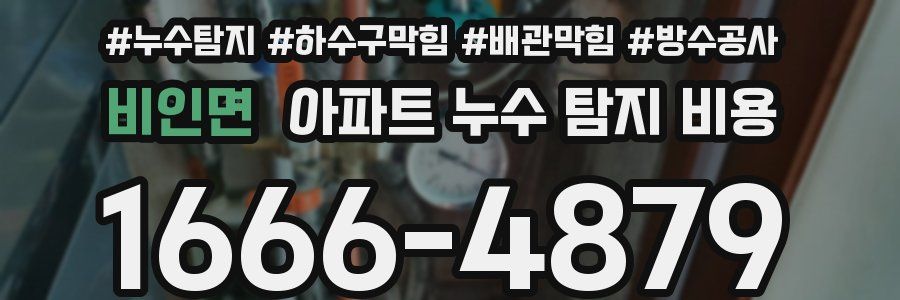 비인면 아파트 누수 탐지 비용