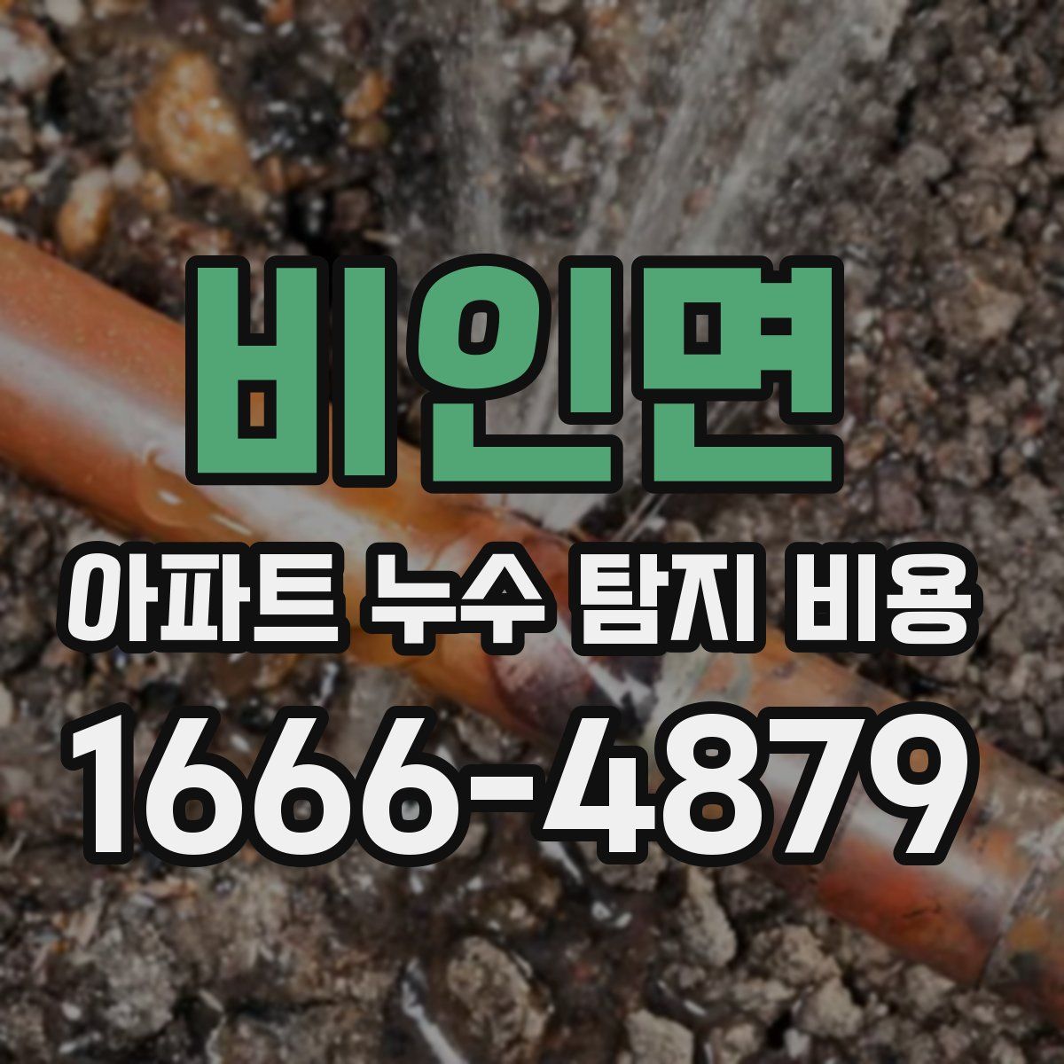 비인면 아파트 누수 탐지 비용