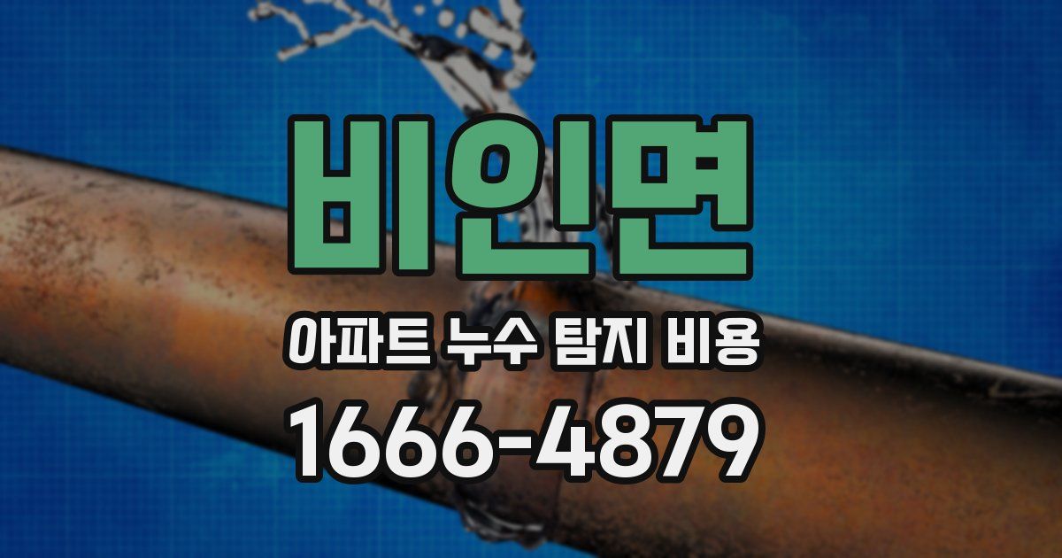 비인면 아파트 누수 탐지 비용