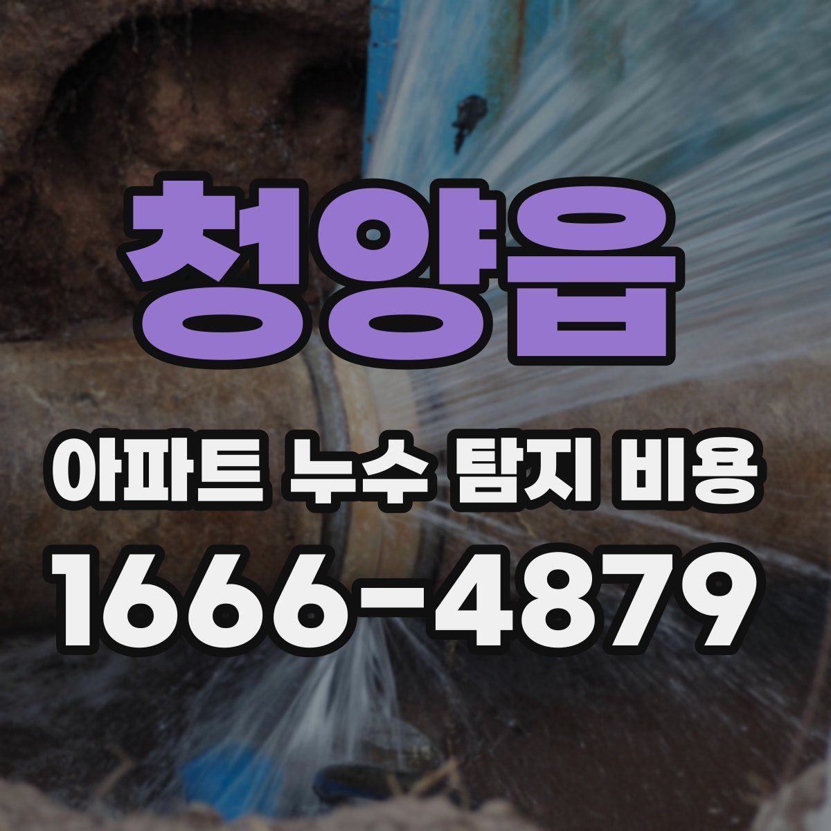 청양읍 아파트 누수 탐지 비용