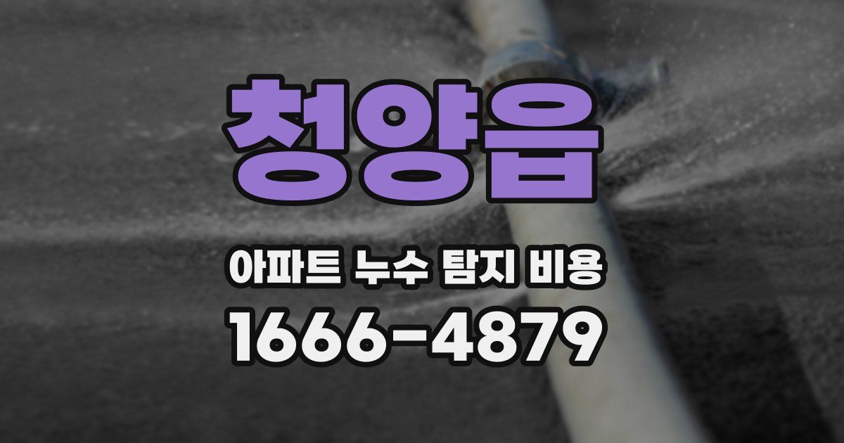 청양읍 아파트 누수 탐지 비용