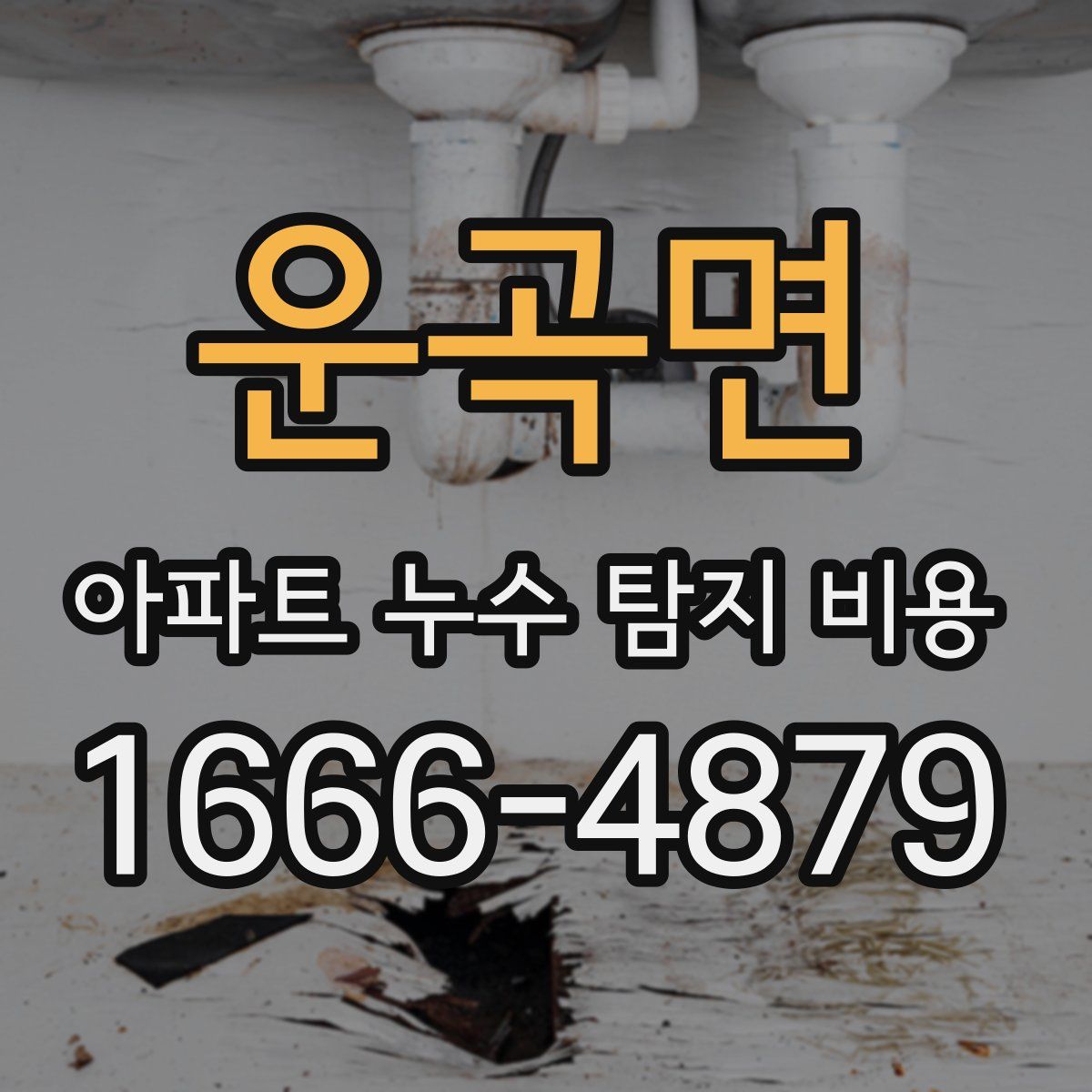 운곡면 아파트 누수 탐지 비용