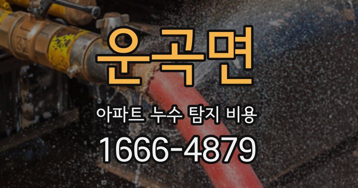운곡면 아파트 누수 탐지 비용