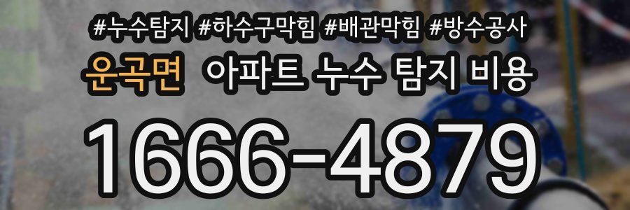 운곡면 아파트 누수 탐지 비용