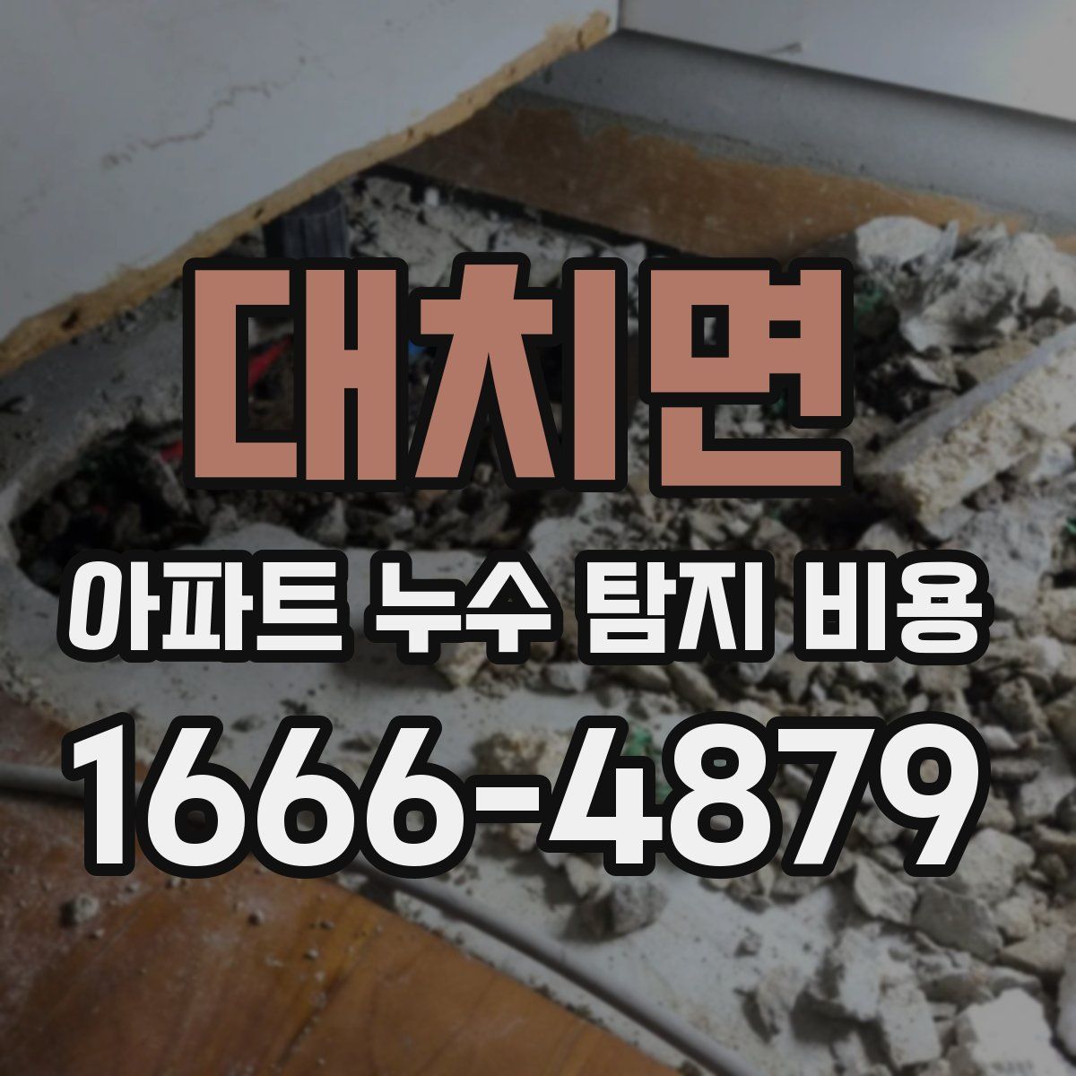 대치면 아파트 누수 탐지 비용