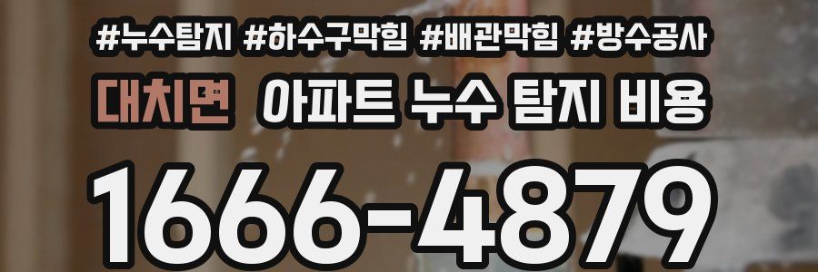 대치면 아파트 누수 탐지 비용