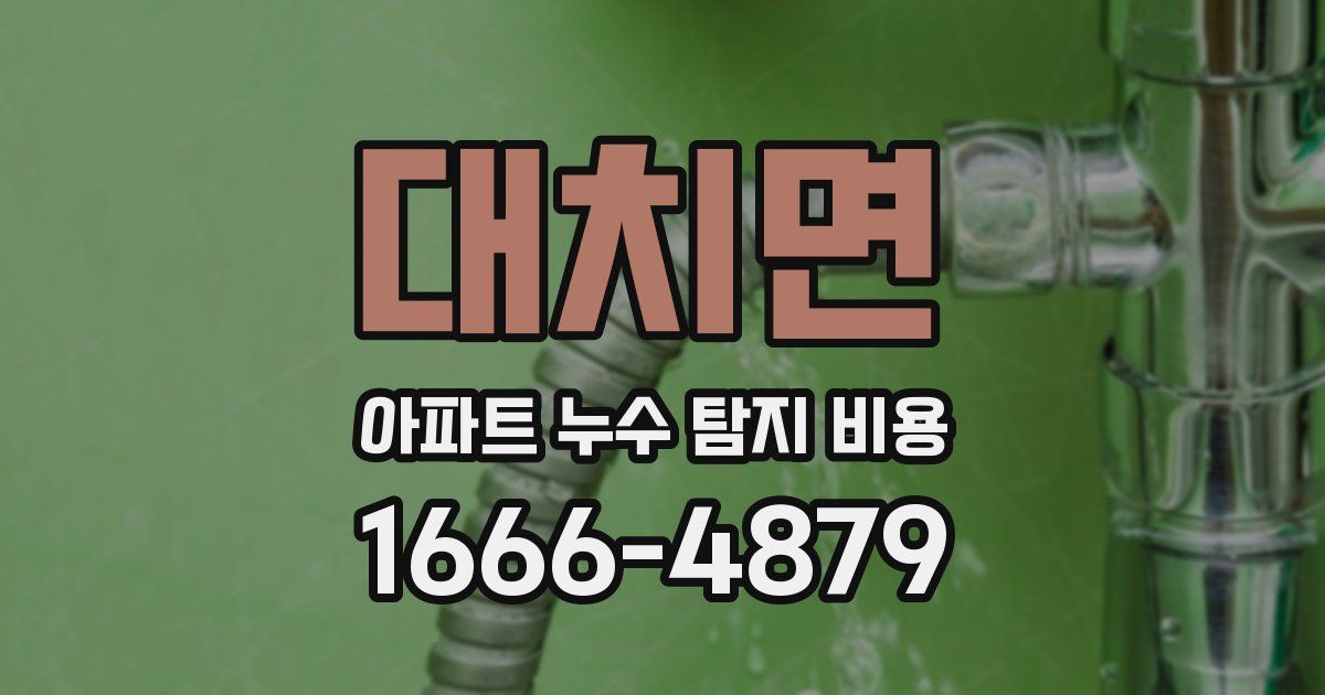 대치면 아파트 누수 탐지 비용