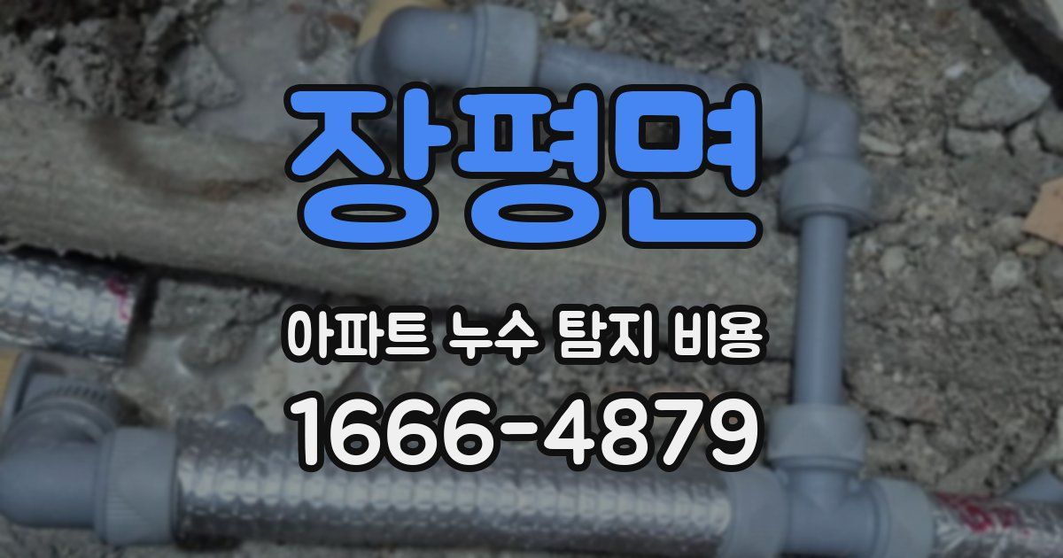 장평면 아파트 누수 탐지 비용