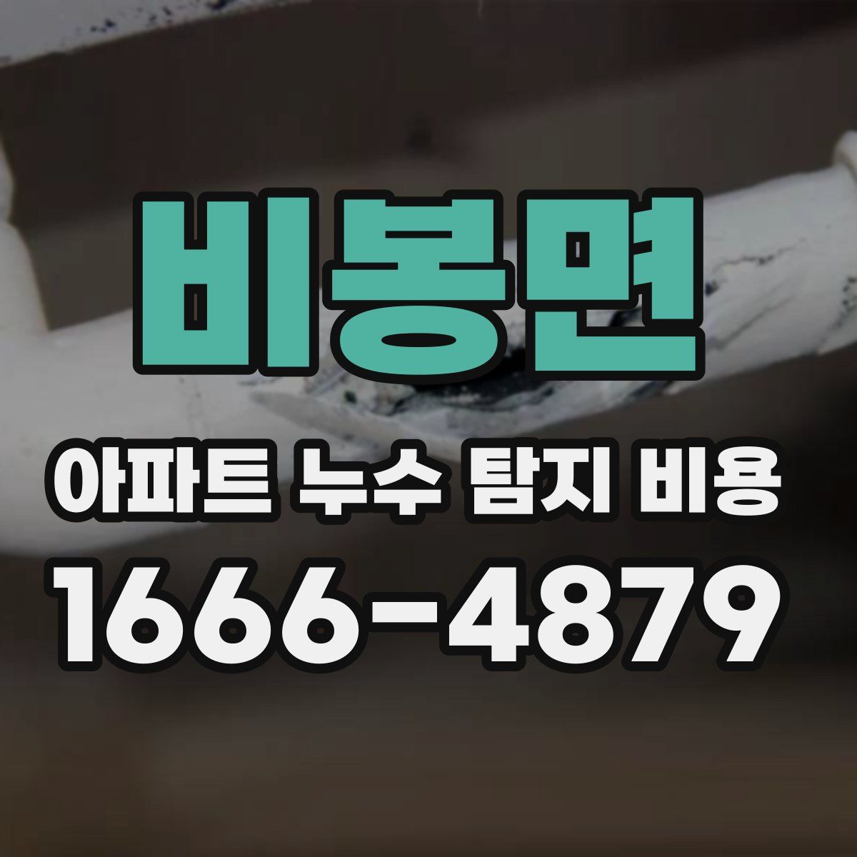 비봉면 아파트 누수 탐지 비용