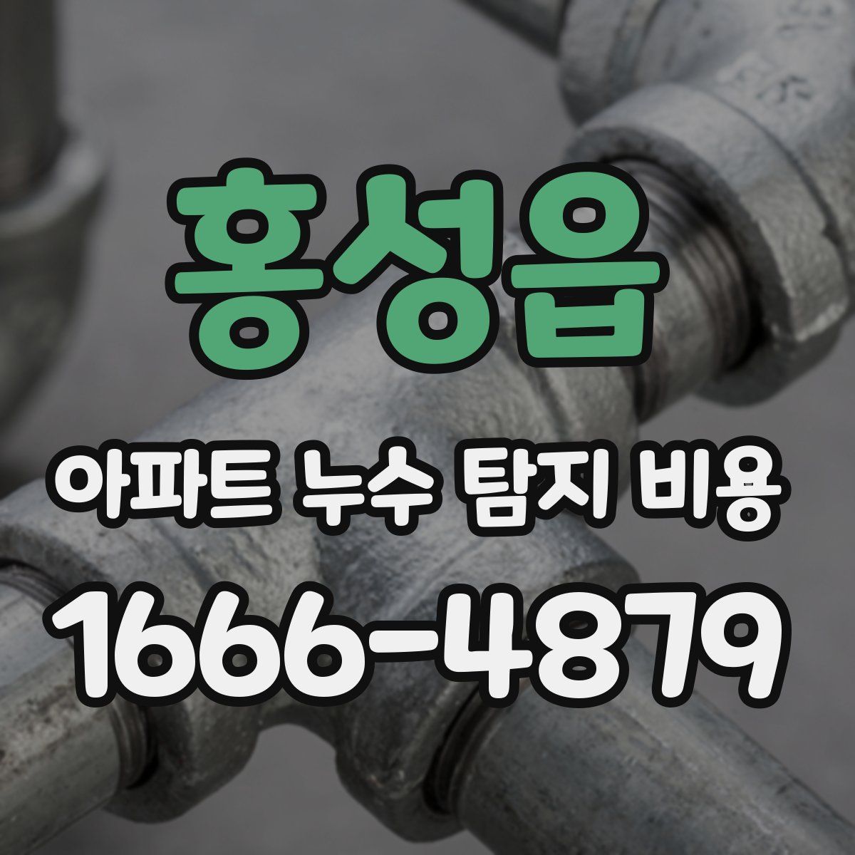 홍성읍 아파트 누수 탐지 비용