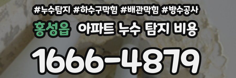 홍성읍 아파트 누수 탐지 비용