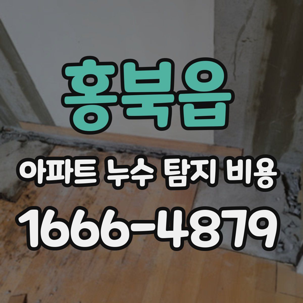 홍북읍 아파트 누수 탐지 비용