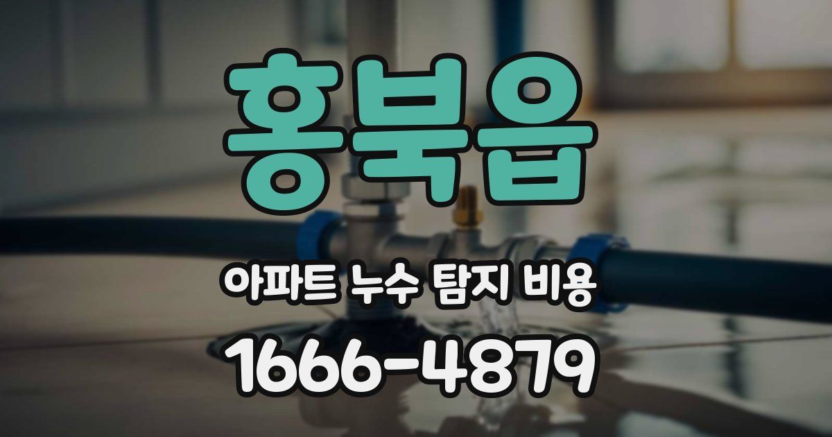 홍북읍 아파트 누수 탐지 비용