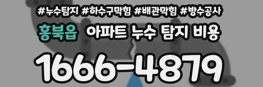 홍북읍 아파트 누수 탐지 비용