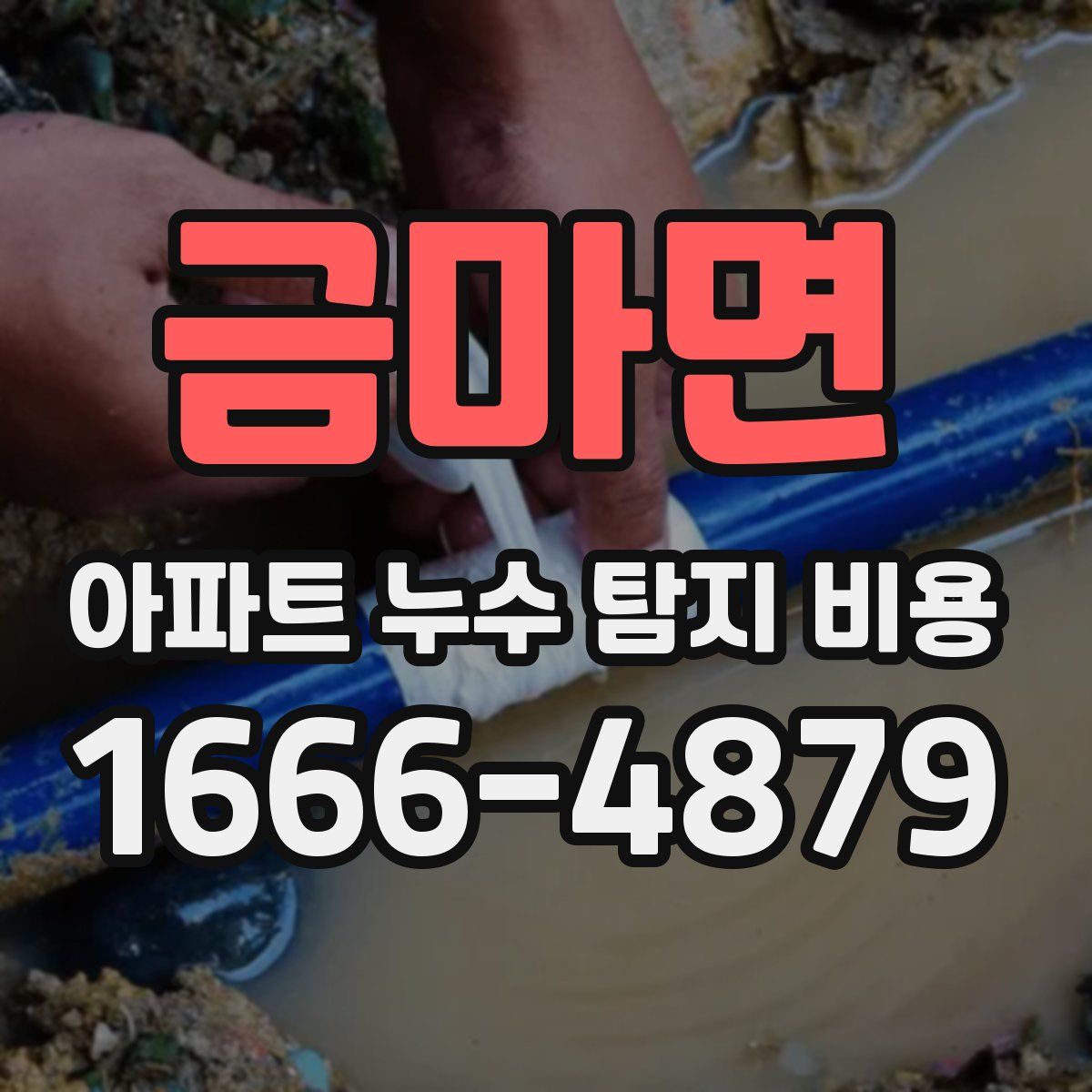 금마면 아파트 누수 탐지 비용