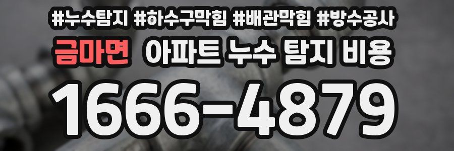 금마면 아파트 누수 탐지 비용