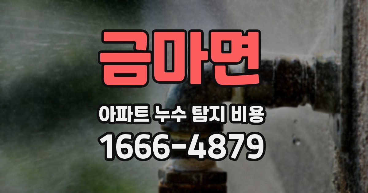 금마면 아파트 누수 탐지 비용