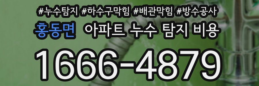 홍동면 아파트 누수 탐지 비용