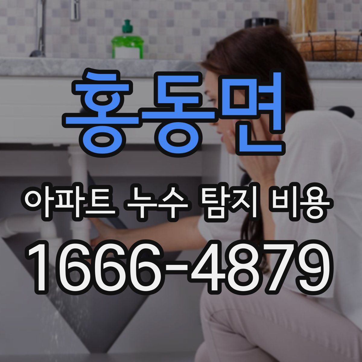 홍동면 아파트 누수 탐지 비용