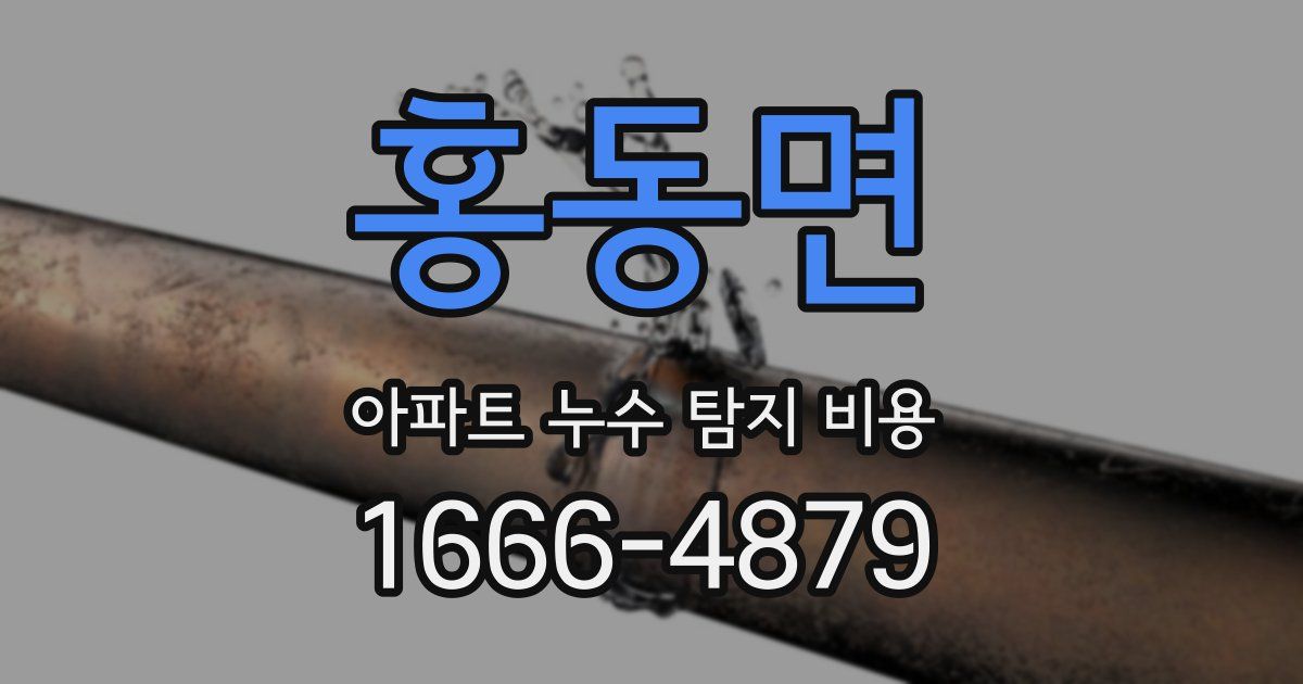 홍동면 아파트 누수 탐지 비용