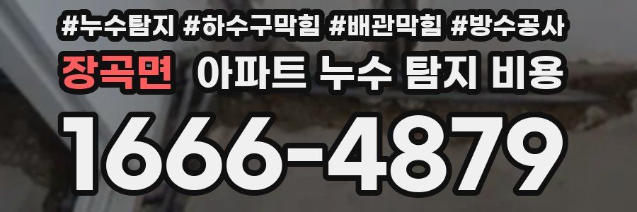 장곡면 아파트 누수 탐지 비용