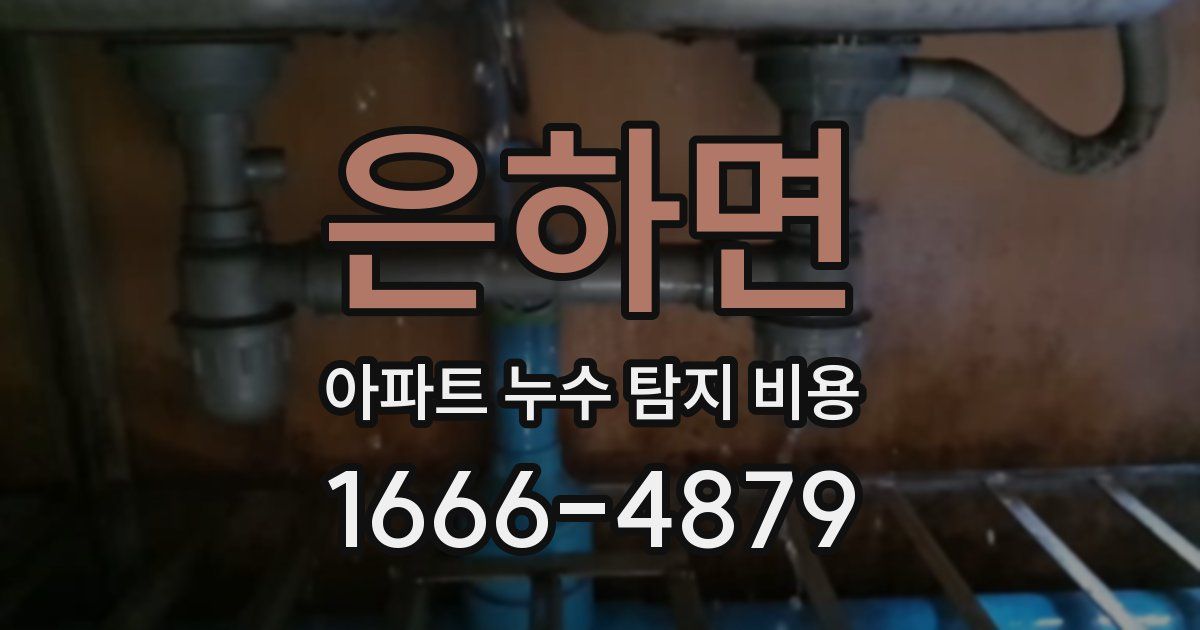 은하면 아파트 누수 탐지 비용