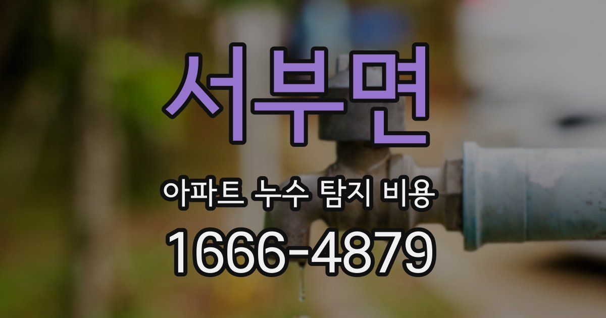 서부면 아파트 누수 탐지 비용