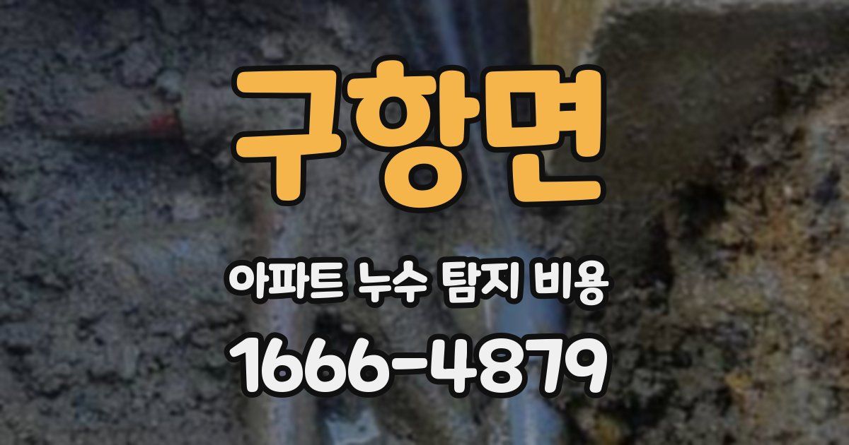 구항면 아파트 누수 탐지 비용