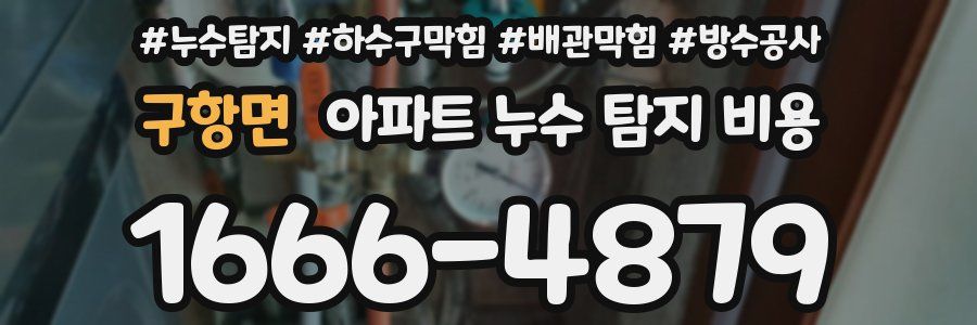 구항면 아파트 누수 탐지 비용