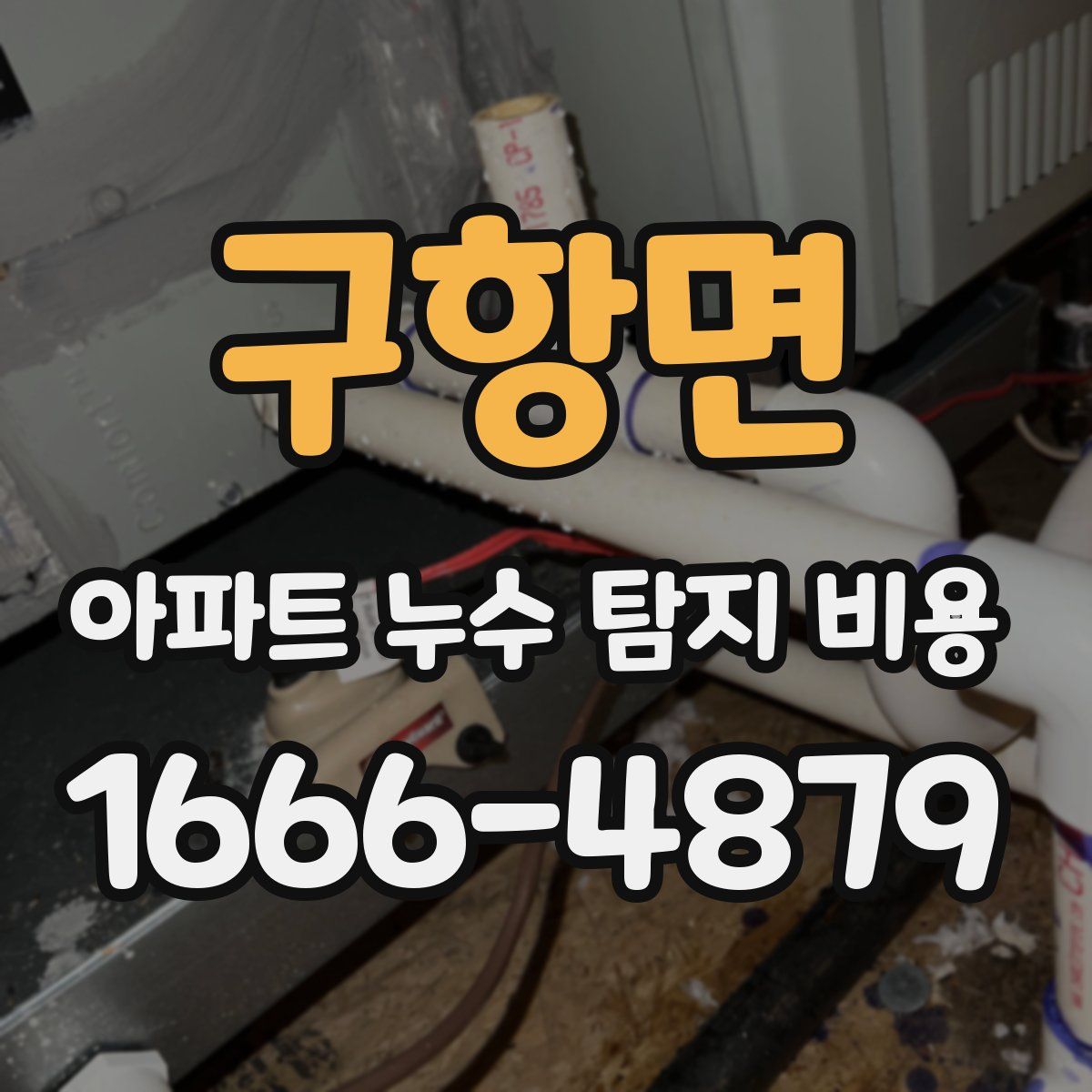 구항면 아파트 누수 탐지 비용