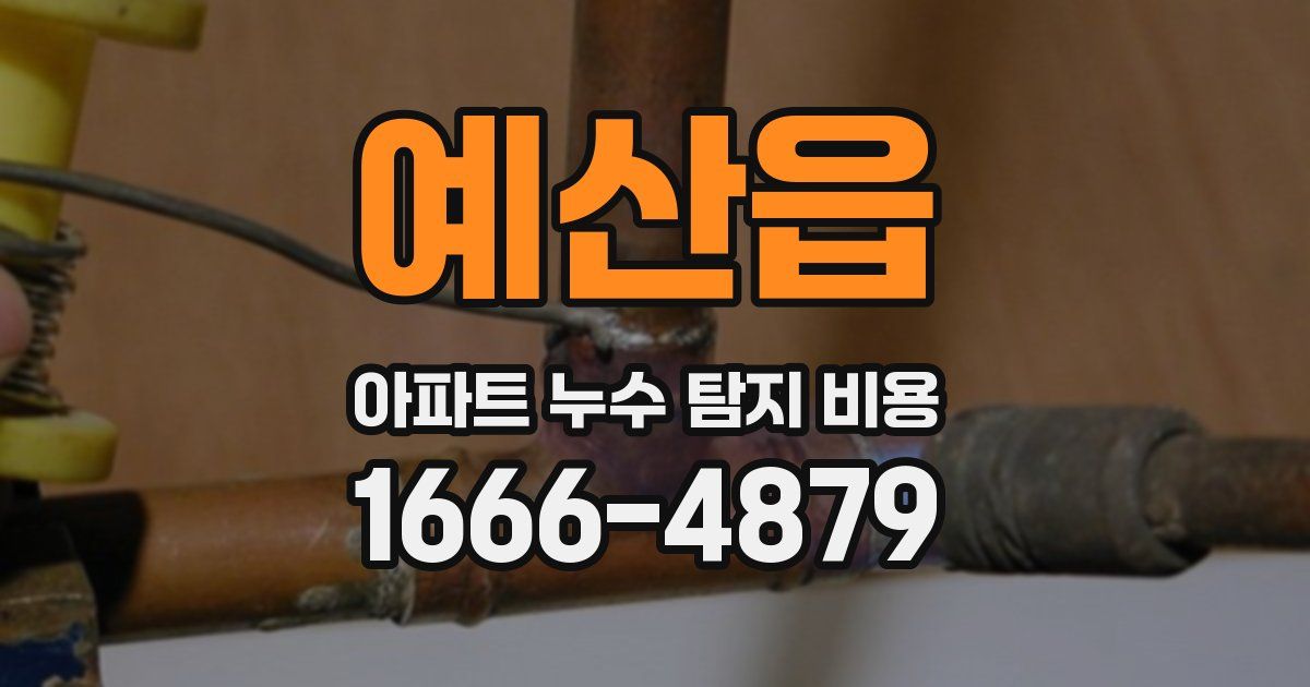 예산읍 아파트 누수 탐지 비용