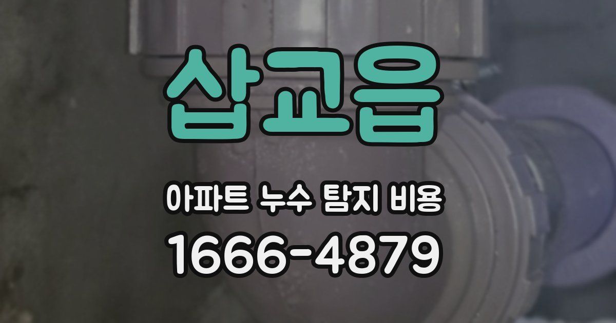 삽교읍 아파트 누수 탐지 비용
