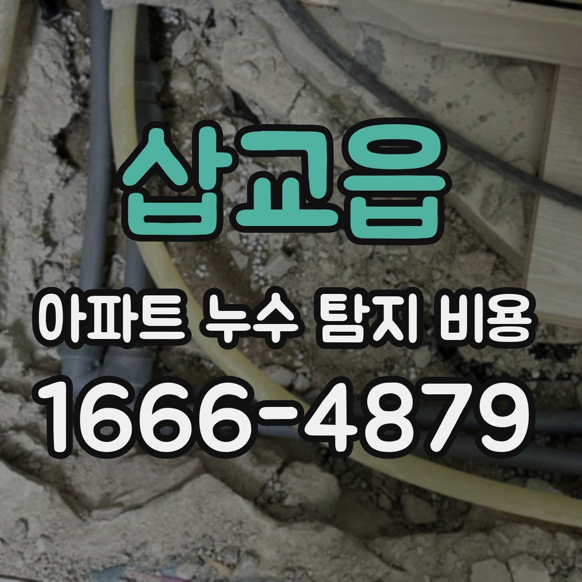 삽교읍 아파트 누수 탐지 비용