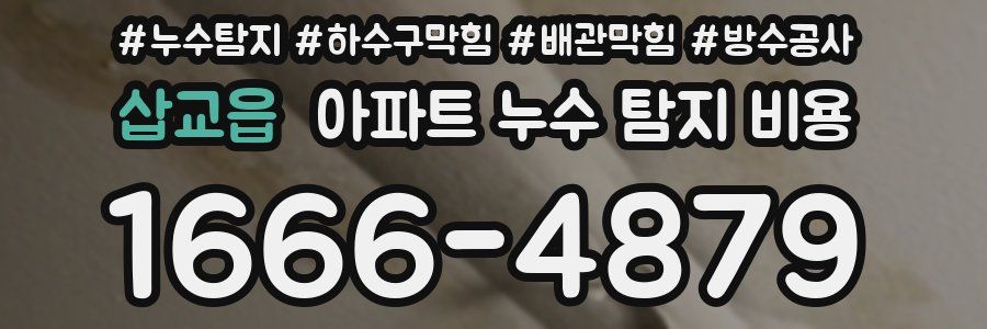 삽교읍 아파트 누수 탐지 비용