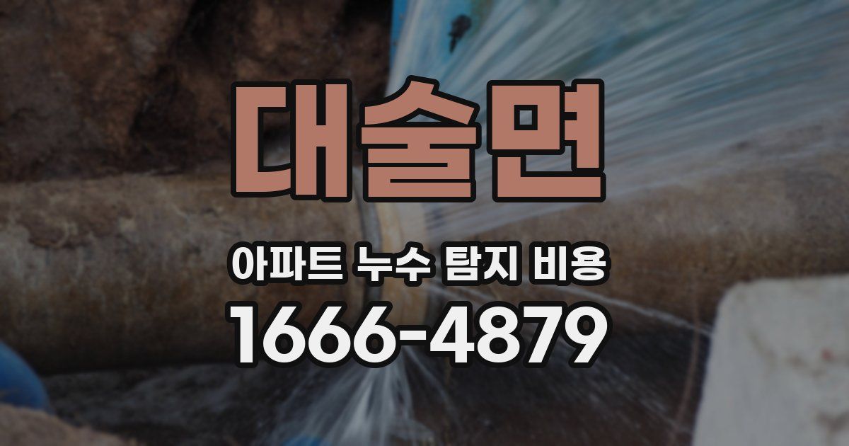 대술면 아파트 누수 탐지 비용