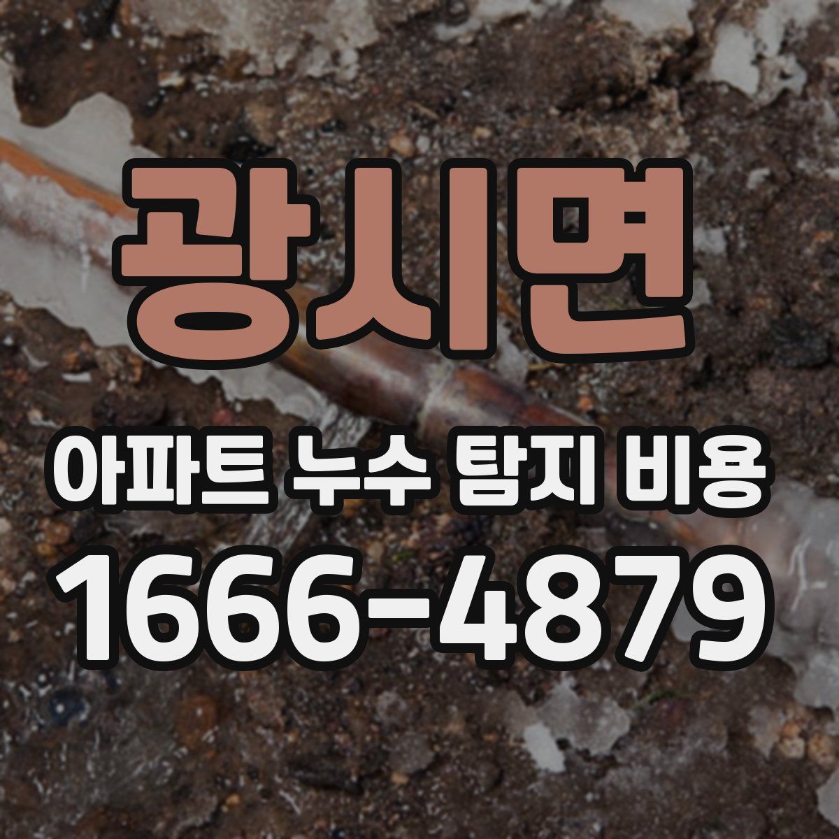 광시면 아파트 누수 탐지 비용