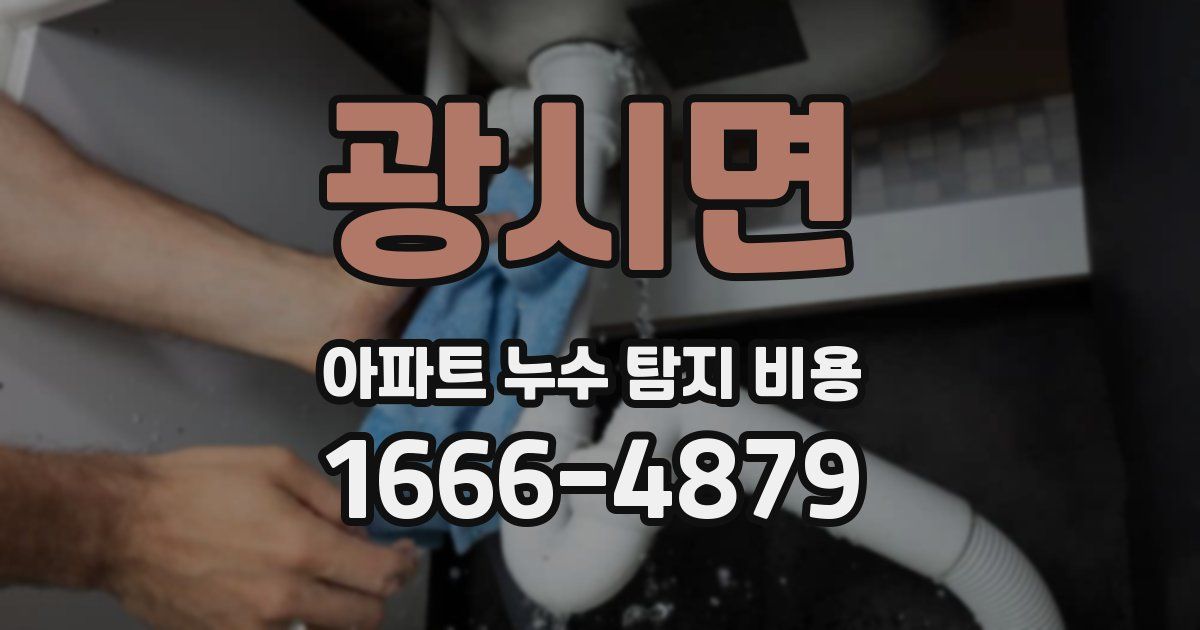 광시면 아파트 누수 탐지 비용