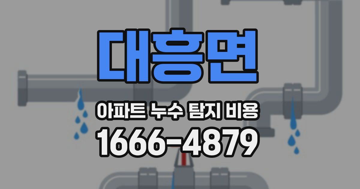 대흥면 아파트 누수 탐지 비용