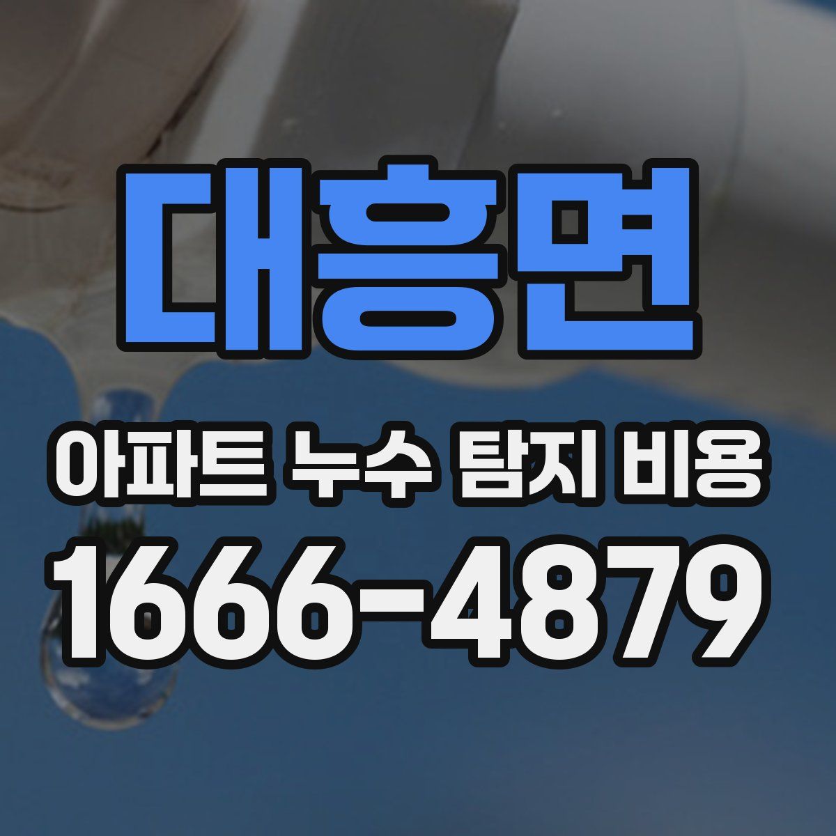 대흥면 아파트 누수 탐지 비용