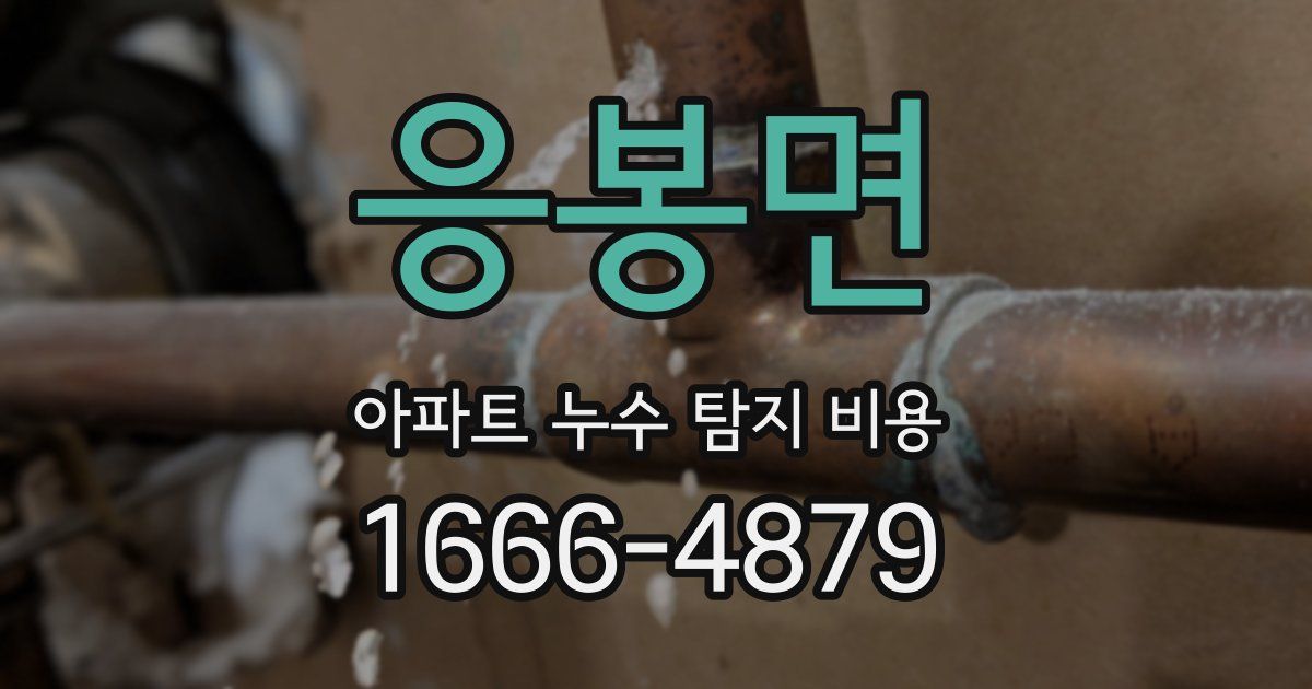 응봉면 아파트 누수 탐지 비용