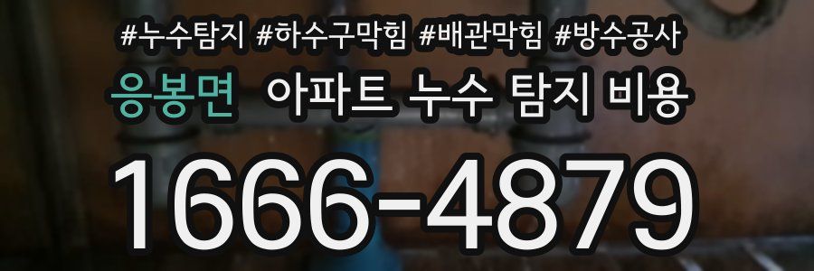 응봉면 아파트 누수 탐지 비용