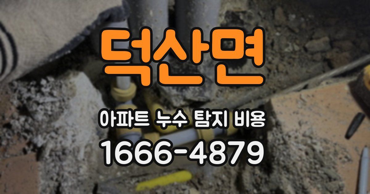 덕산면 아파트 누수 탐지 비용