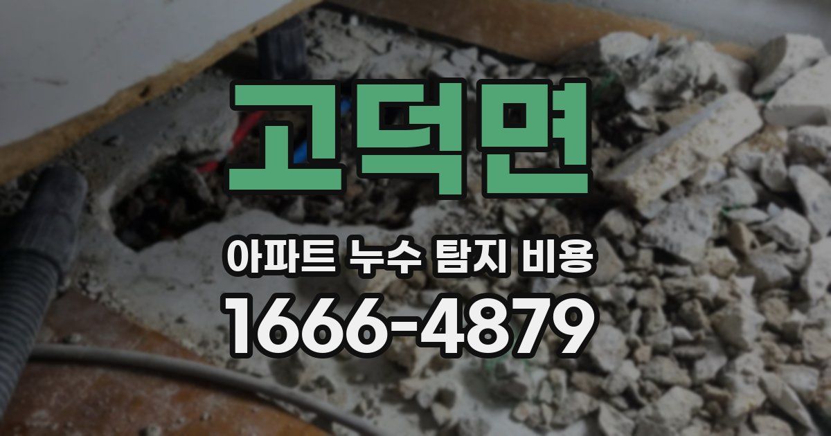 고덕면 아파트 누수 탐지 비용