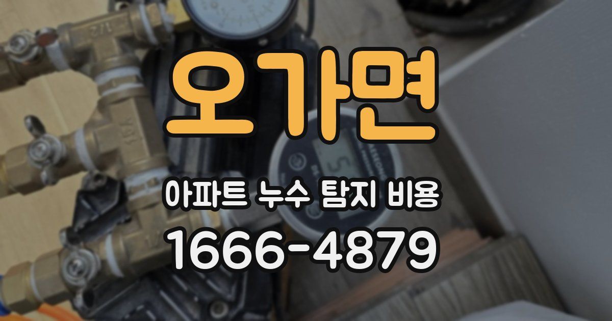 오가면 아파트 누수 탐지 비용