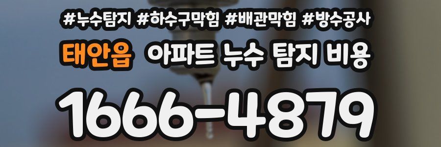 태안읍 아파트 누수 탐지 비용