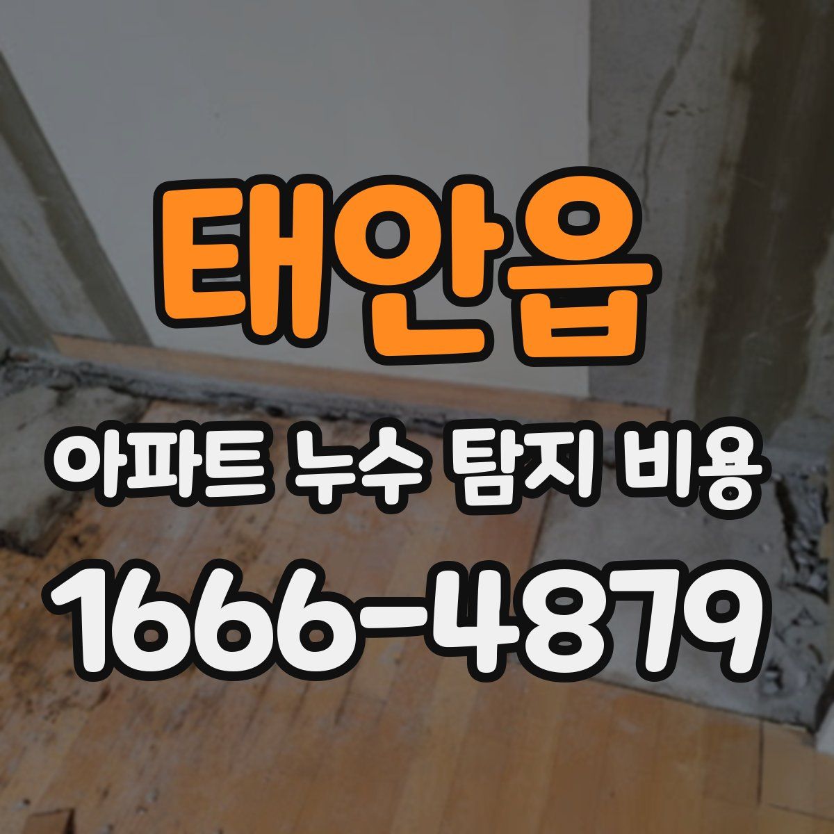 태안읍 아파트 누수 탐지 비용
