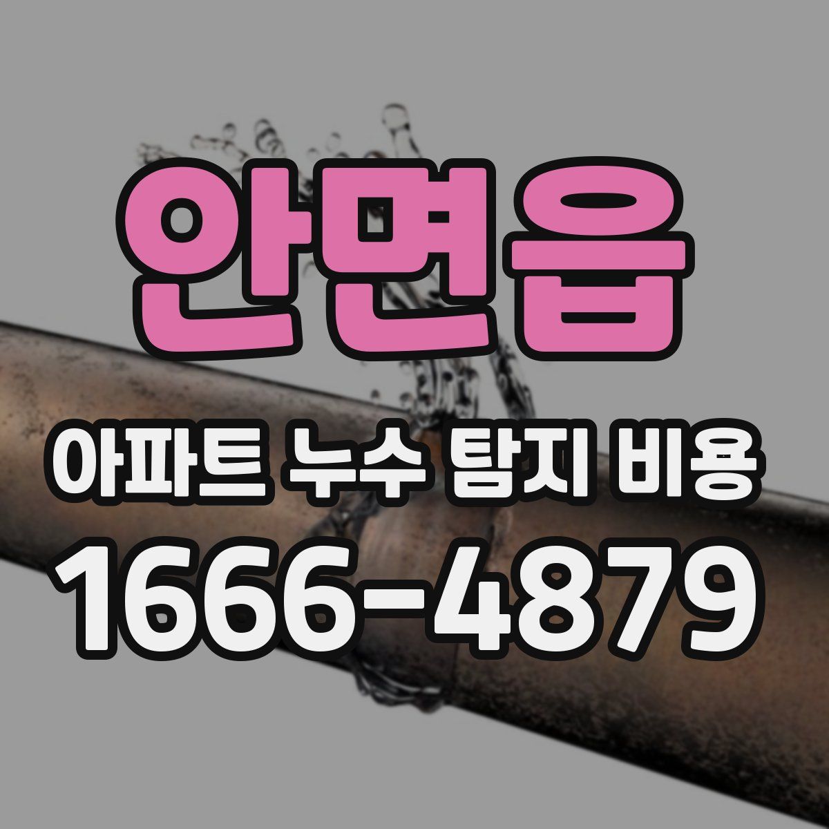 안면읍 아파트 누수 탐지 비용